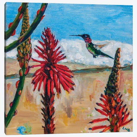 Anna's Humming Bird In Santa Monica Canvas Print #LGZ14} by Lisa Goldfarb Canvas Print