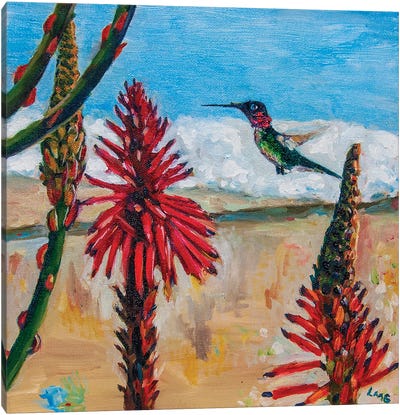 Anna's Humming Bird In Santa Monica Canvas Art Print - Lisa Goldfarb