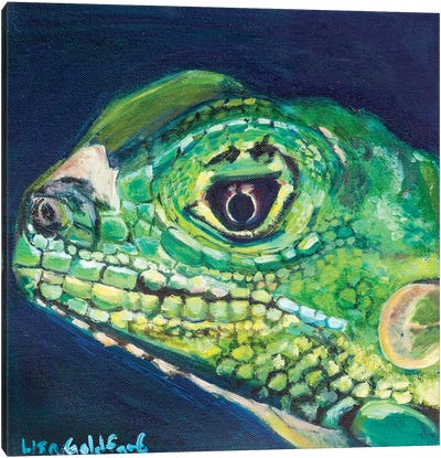 Juvenile Iguana Portrait Canvas Art Print - Lisa Goldfarb