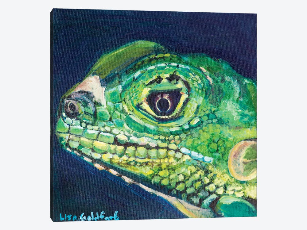 Juvenile Iguana Portrait by Lisa Goldfarb 1-piece Canvas Print