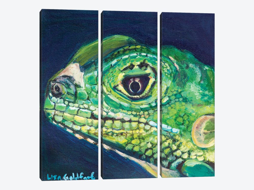 Juvenile Iguana Portrait by Lisa Goldfarb 3-piece Canvas Print