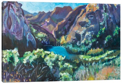 Malibu Creek State Park Canvas Art Print - Lisa Goldfarb