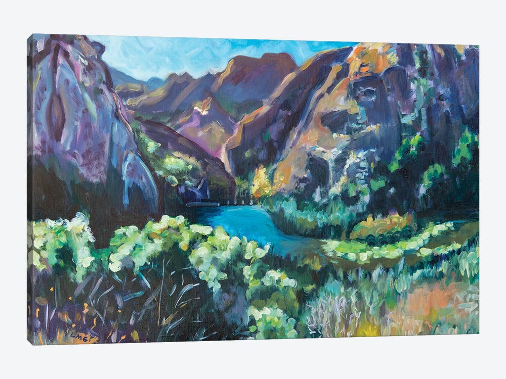 Malibu Creek State Park by Lisa Goldfarb 1-piece Canvas Art Print