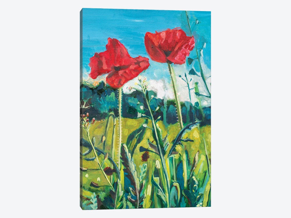 Poppies In Germany by Lisa Goldfarb 1-piece Canvas Print