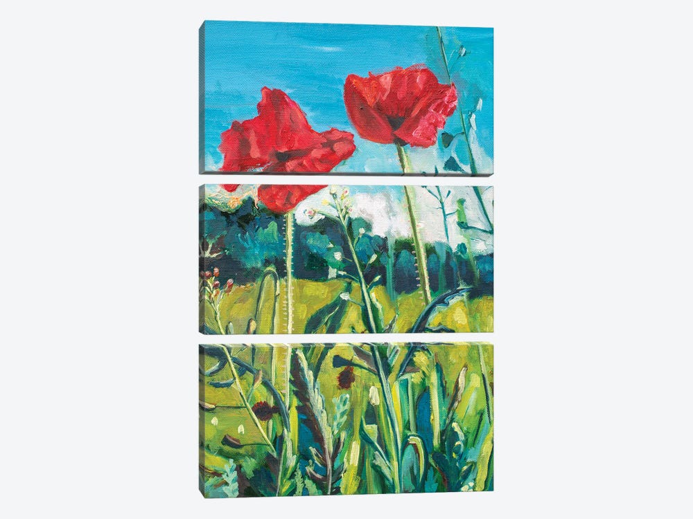 Poppies In Germany by Lisa Goldfarb 3-piece Canvas Art Print