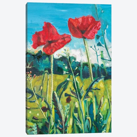 Poppies In Germany Canvas Print #LGZ24} by Lisa Goldfarb Canvas Artwork