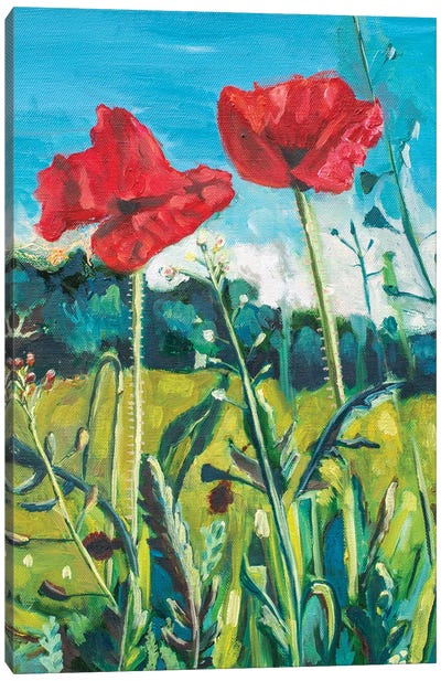 Poppies In Germany Canvas Art Print - Lisa Goldfarb