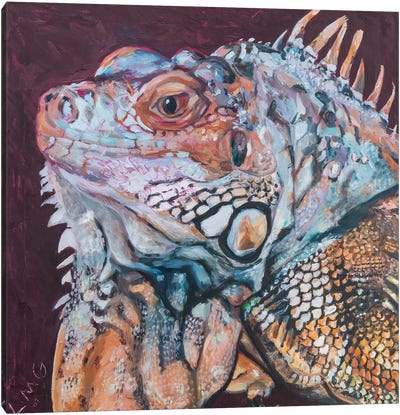 Portrait Of Zard Canvas Art Print - Lizard Art