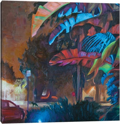 Urban Coyote In Santa Monica Canvas Art Print - Santa Monica