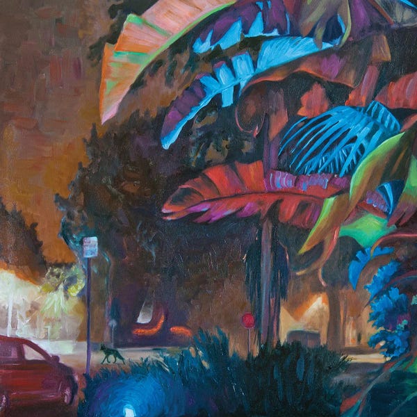 Lisa Goldfarb: Urban Coyote In Santa Monica by Lisa Goldfarb