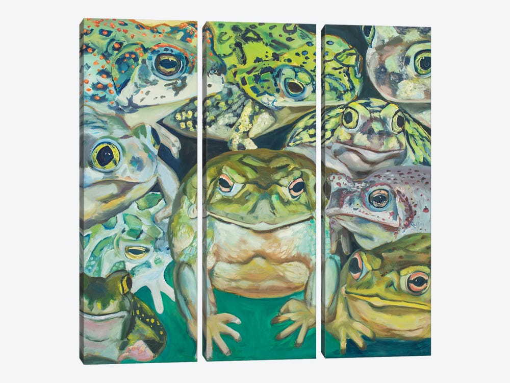 Toad Swarm by Lisa Goldfarb 3-piece Canvas Art