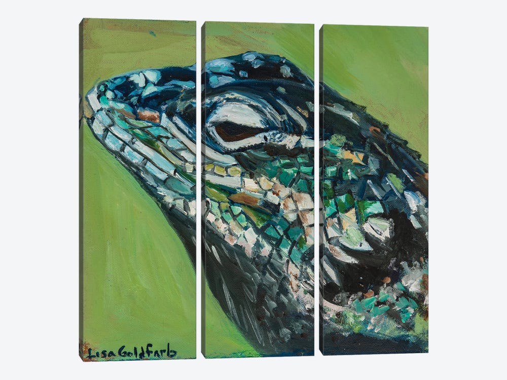 Yarrow's Spiny Lizard Portrait by Lisa Goldfarb 3-piece Canvas Artwork
