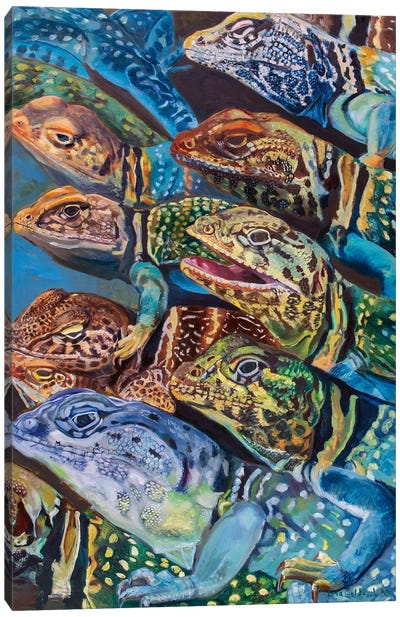 Collared Lizard Swarm Canvas Art Print - Lisa Goldfarb