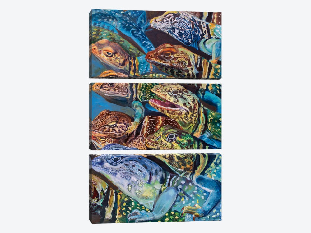 Collared Lizard Swarm by Lisa Goldfarb 3-piece Canvas Print