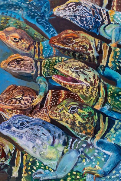 Lisa Goldfarb: Collared Lizard Swarm by Lisa Goldfarb