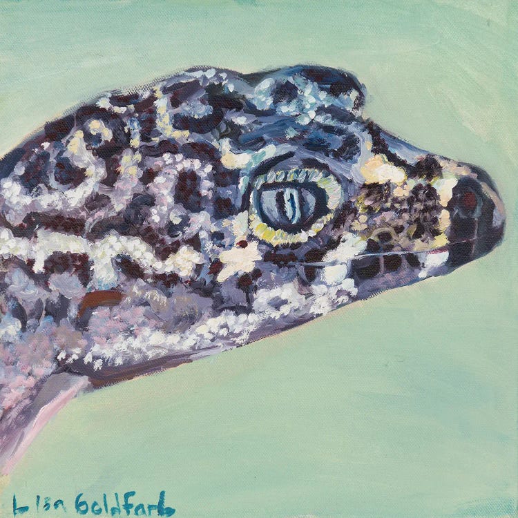Gecko Portrait by Lisa Goldfarb wall art