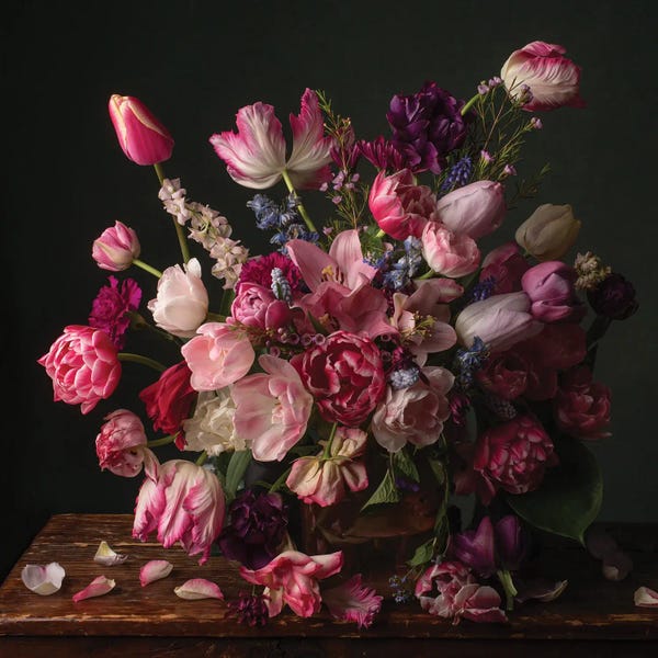 Leah McLean: Spring Blooms In The Pink by Leah McLean