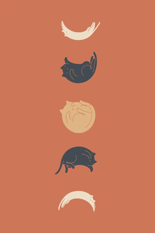 Cat Landscape LXI