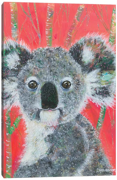Koala -- Vermillion Canvas Art Print - Lisa Concannon