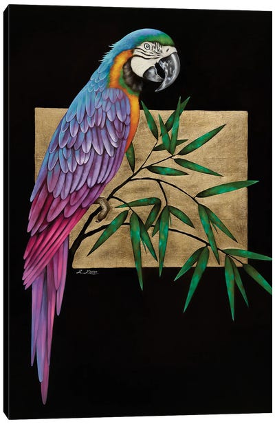 Otello Canvas Art Print - Macaw Art