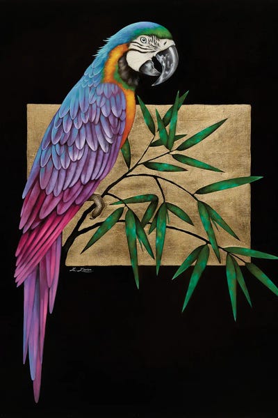 Parrots: Otello by Liene Liepiņa