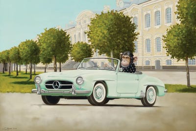 Dreams Come True by Liene Liepiņa art print