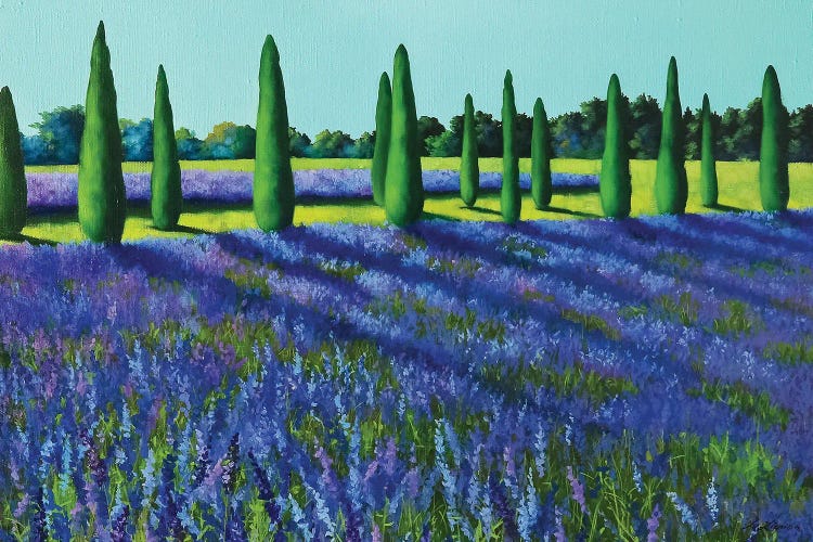 Lavender Field