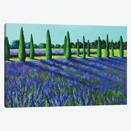 Lavender Field Canvas Print #LIE21} by Liene Liepiņa Canvas Art Print