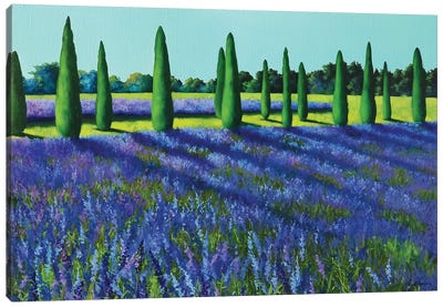 Lavender Field Canvas Art Print - Liene Liepiņa