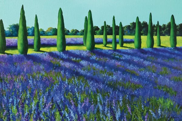 Herbs: Lavender Field by Liene Liepiņa