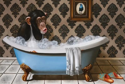 Chimpanzees