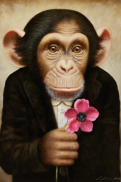 Chimpanzees: Valentin by Liene Liepiņa