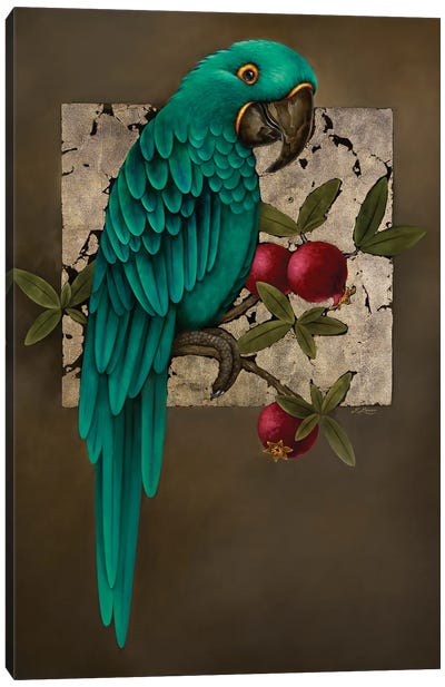 Parrot And Pomegranate Canvas Art Print - Liene Liepiņa