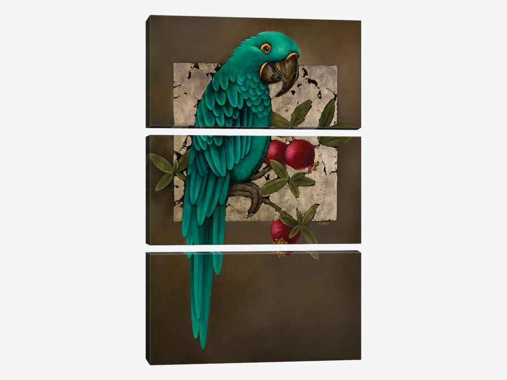 Parrot And Pomegranate by Liene Liepiņa 3-piece Canvas Art