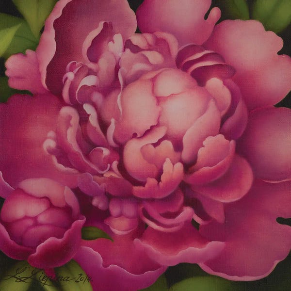 Peonies: Pink Peony by Liene Liepiņa
