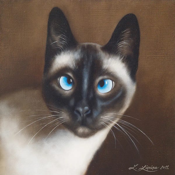 Siamese: Lora by Liene Liepiņa