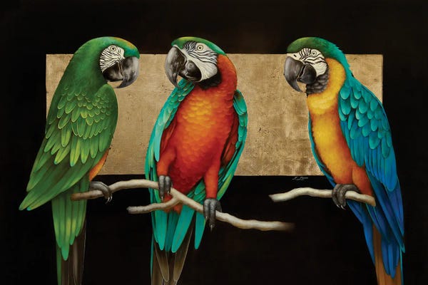 Macaws: Three Friends by Liene Liepiņa