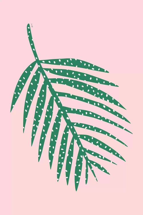 Palm Leaf