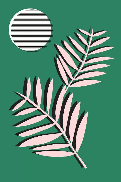 Palm Leaves In Moonlight