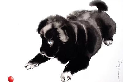 Yang Pup I by Soo Beng Lim canvas print