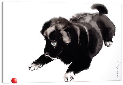 Yang Pup I Canvas Art Print - Puppy Art