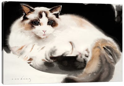 Cat Contentment Canvas Art Print - Soo Beng Lim