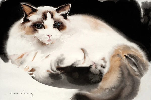 Soo Beng Lim: Cat Contentment by Soo Beng Lim