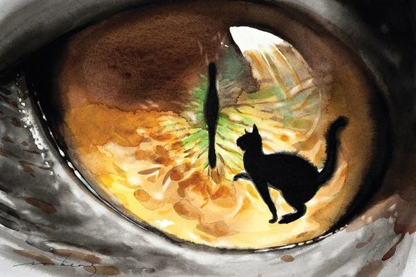 Soo Beng Lim: Cat Seen by Soo Beng Lim