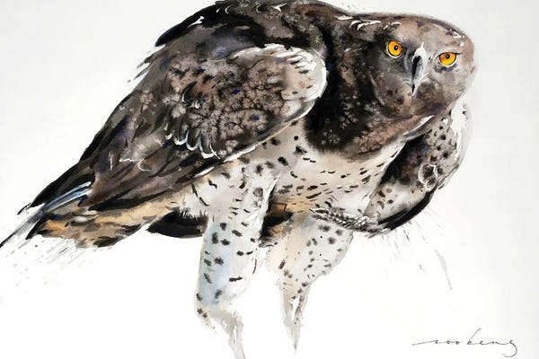 Soo Beng Lim: Eagle Power by Soo Beng Lim