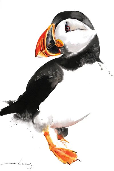 Puffin by Soo Beng Lim canvas print