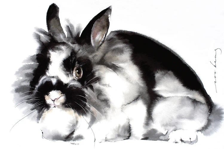 Rabbit