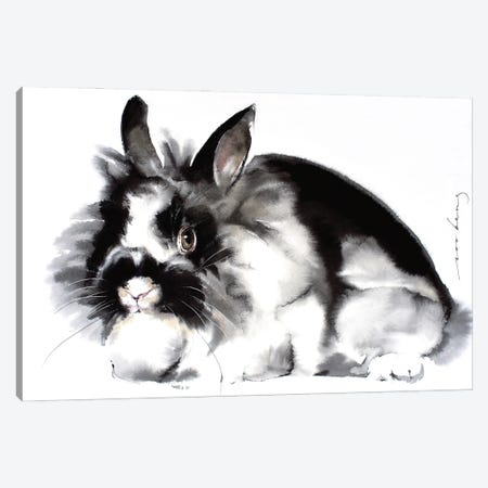 Rabbit Canvas Print #LIM140} by Soo Beng Lim Canvas Print