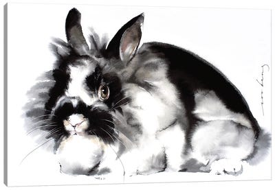 Rabbit Canvas Art Print - Soo Beng Lim