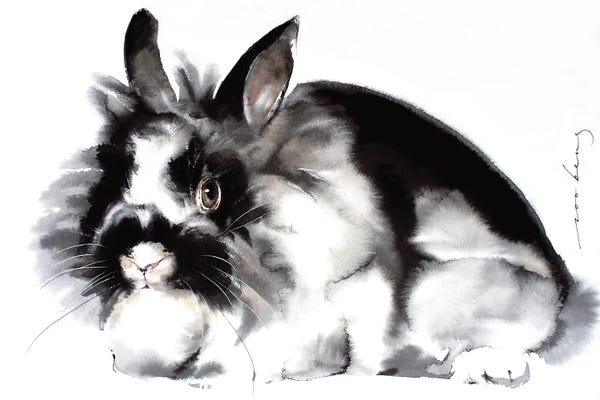 Rabbits: Rabbit by Soo Beng Lim